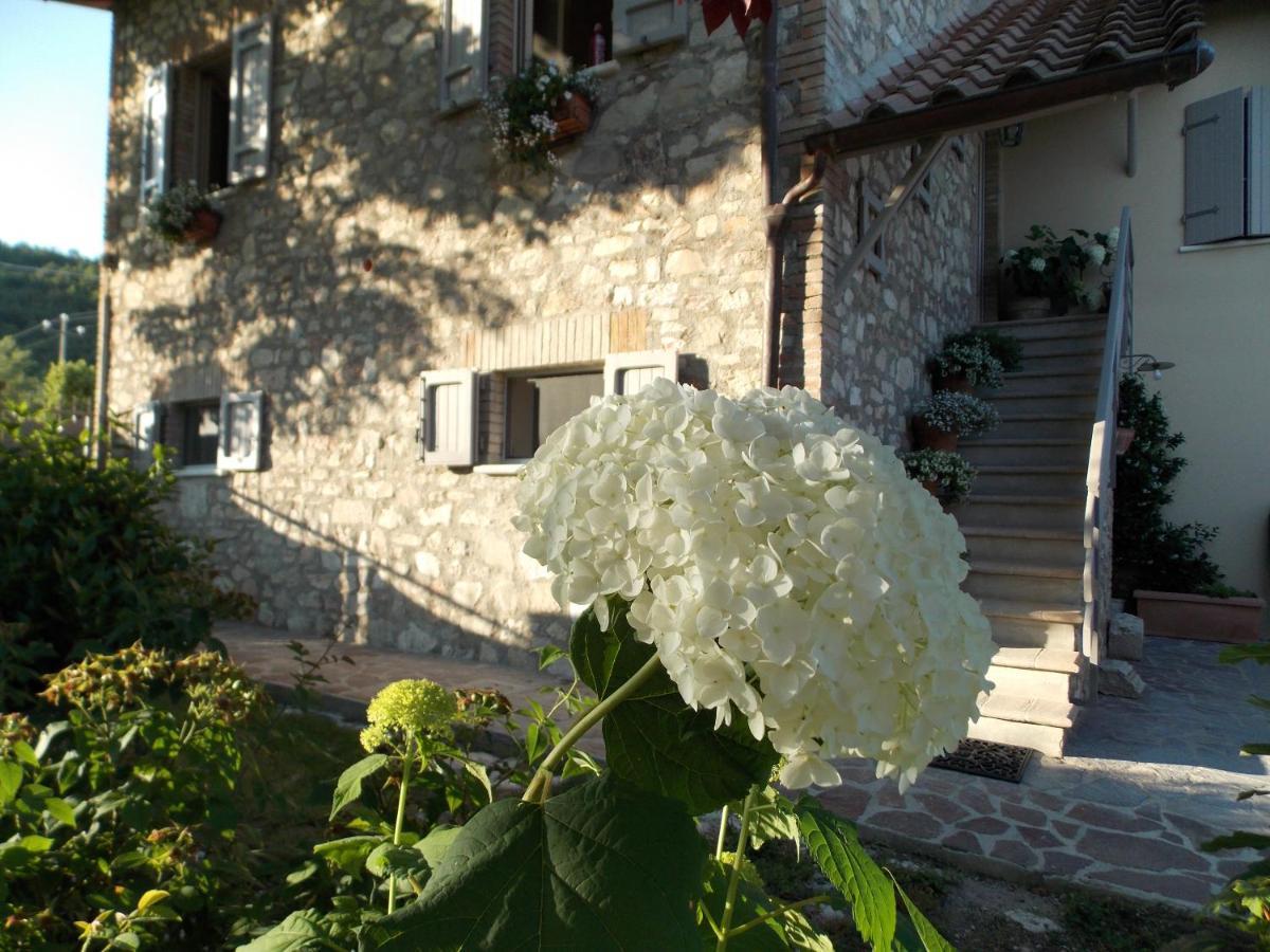 B&B Nonna Rosa Norcia Exterior foto